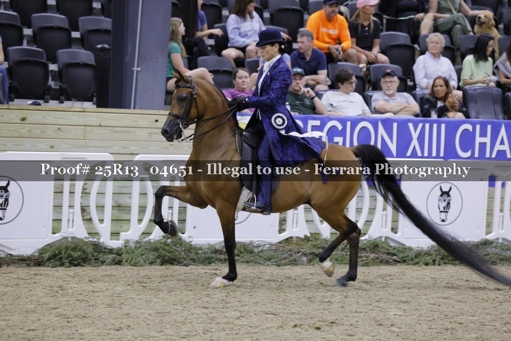 Proof 25R13_04651