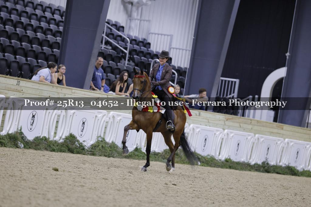 Proof 25R13_04652