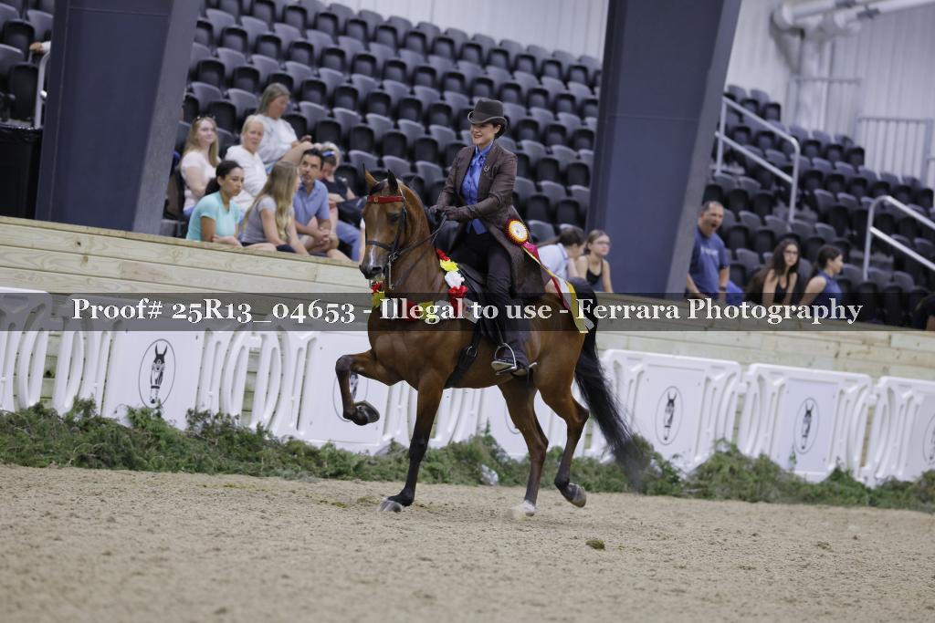 Proof 25R13_04653