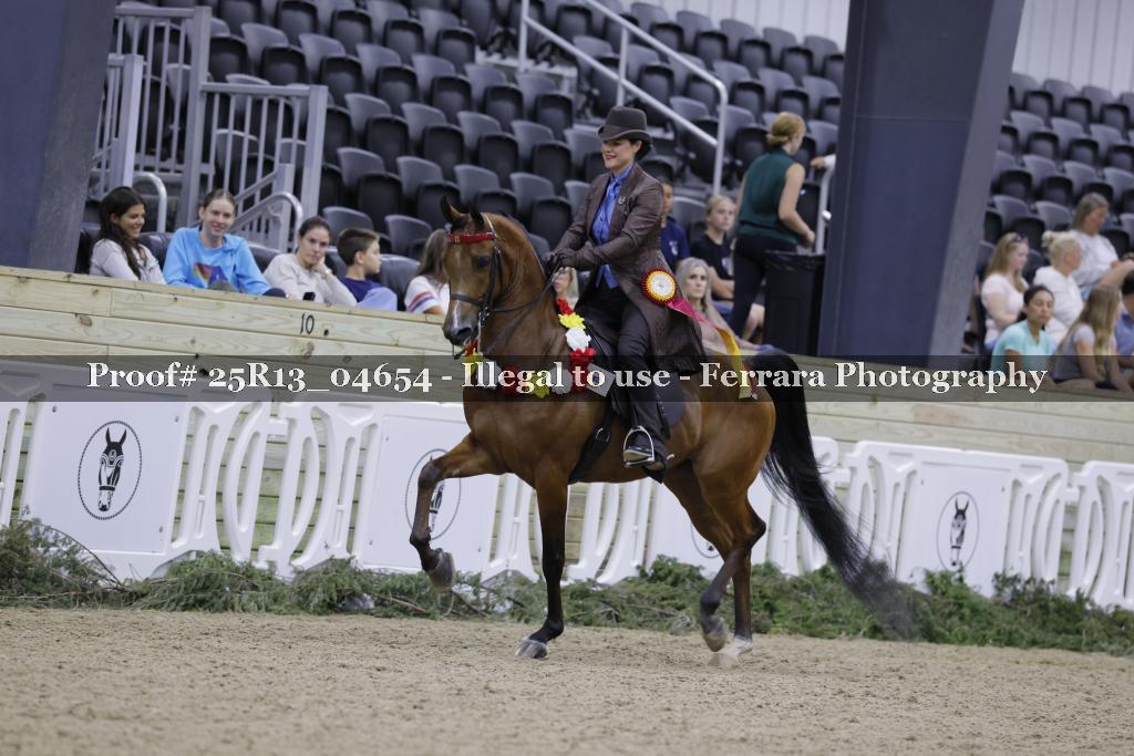 Proof 25R13_04654