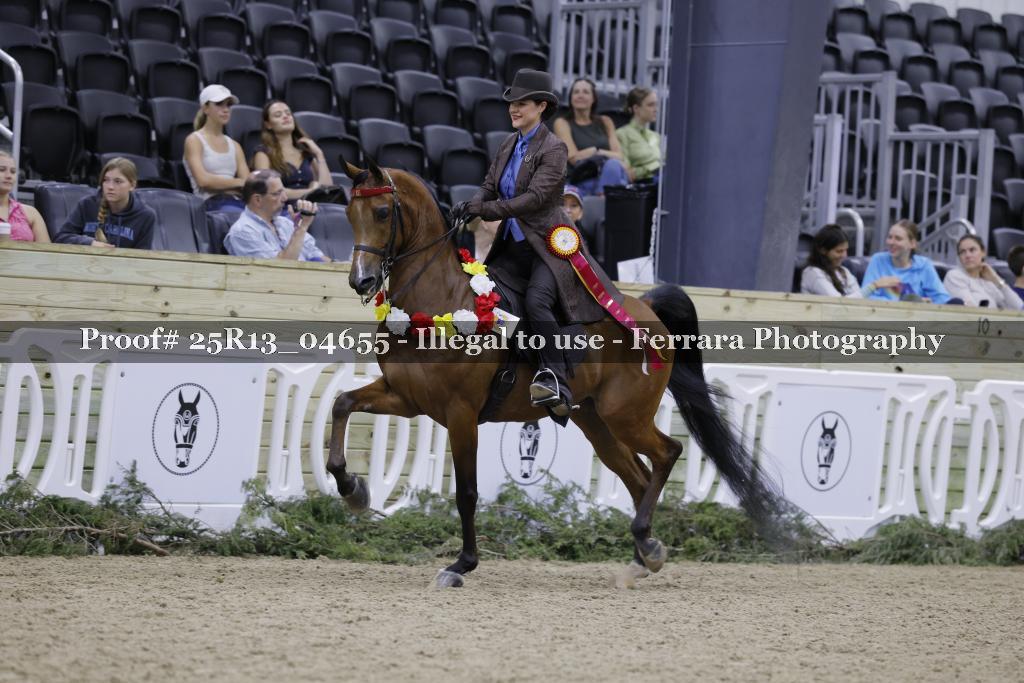 Proof 25R13_04655