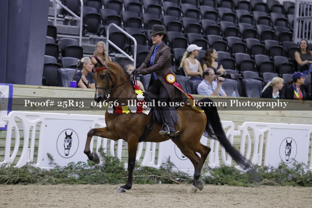Proof 25R13_04656