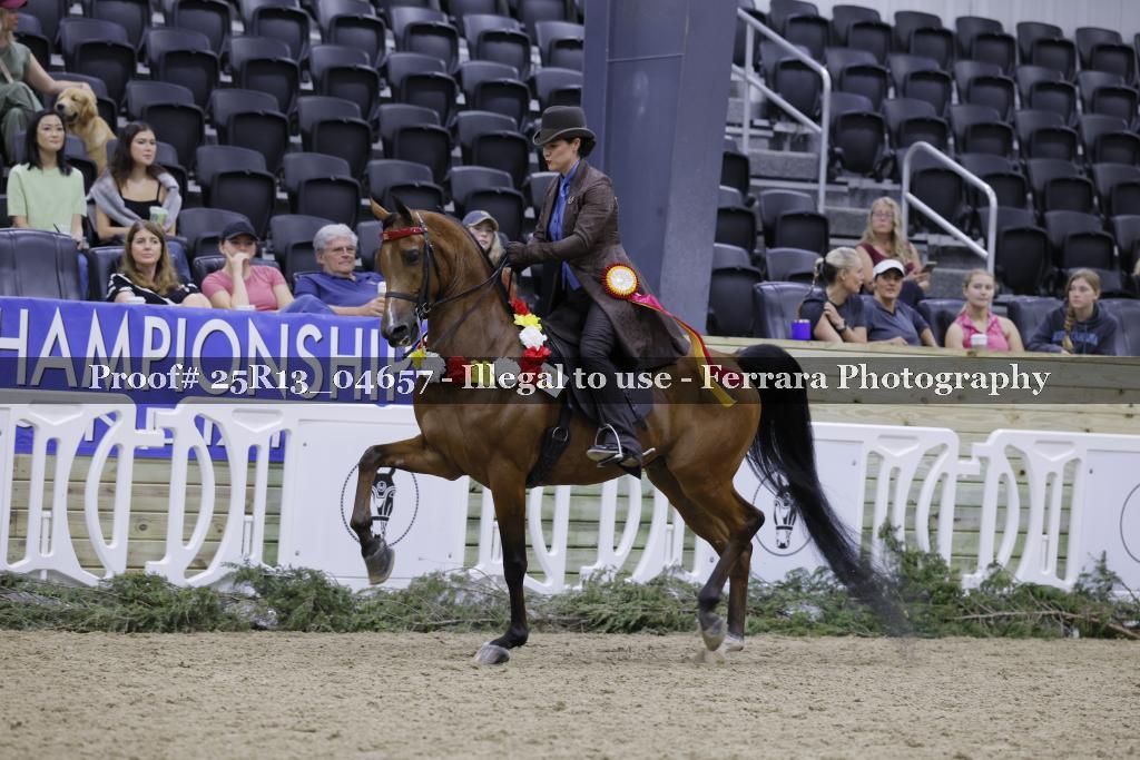 Proof 25R13_04657
