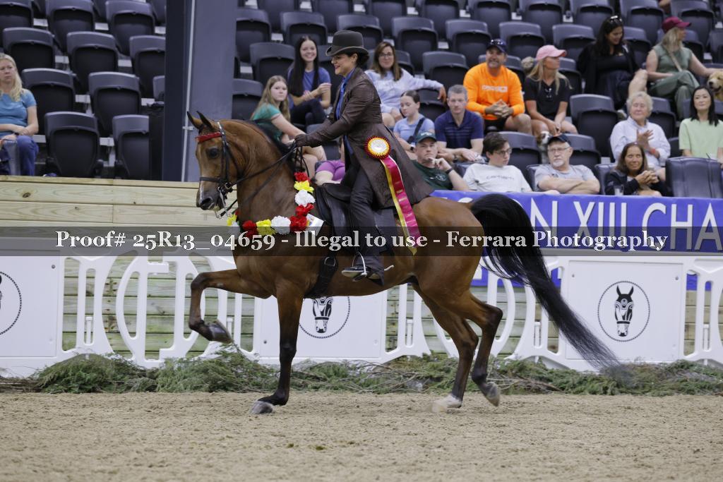 Proof 25R13_04659