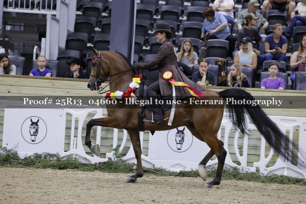 Proof 25R13_04660