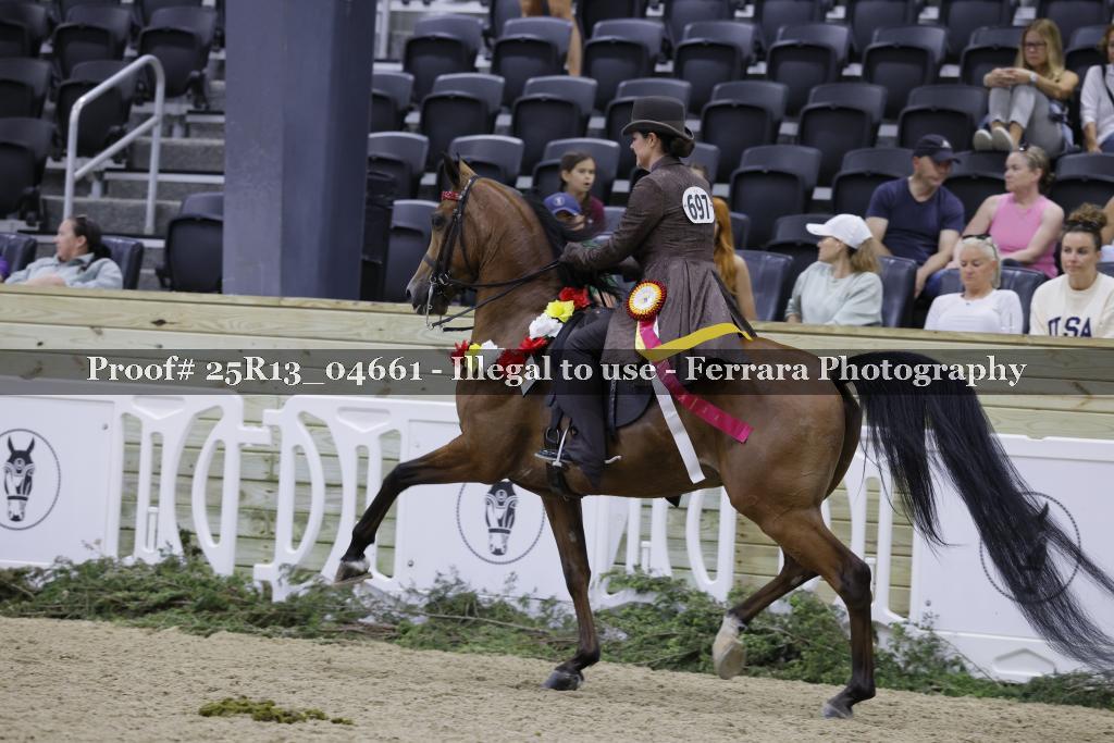 Proof 25R13_04661