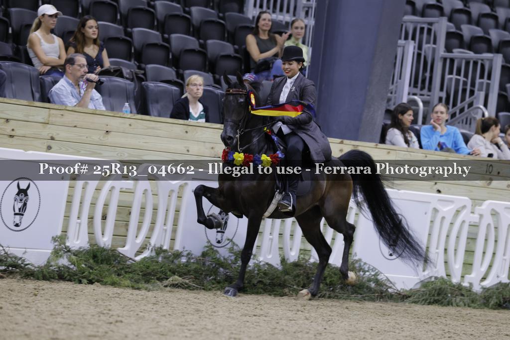 Proof 25R13_04662