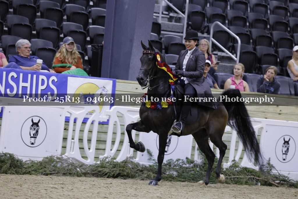Proof 25R13_04663