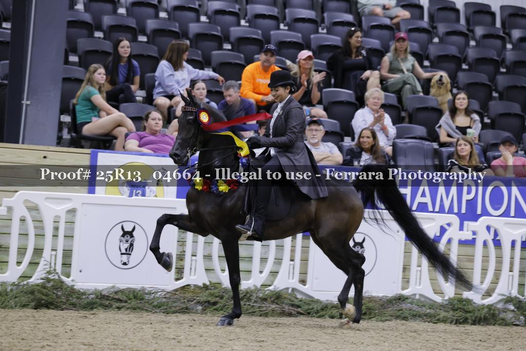 Proof 25R13_04664