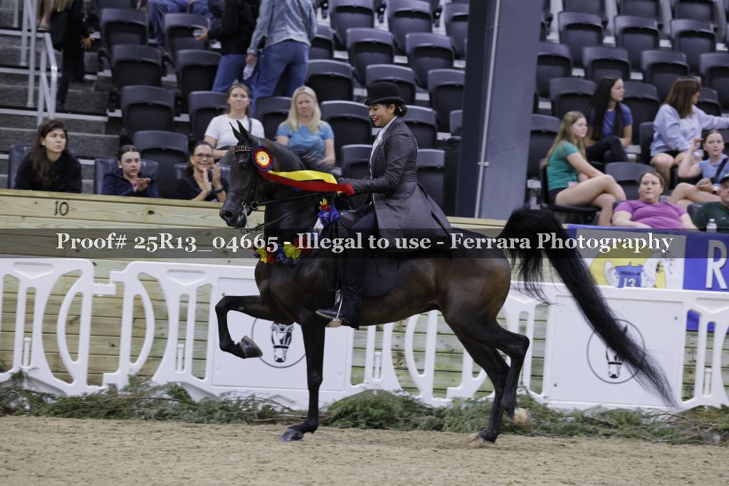 Proof 25R13_04665