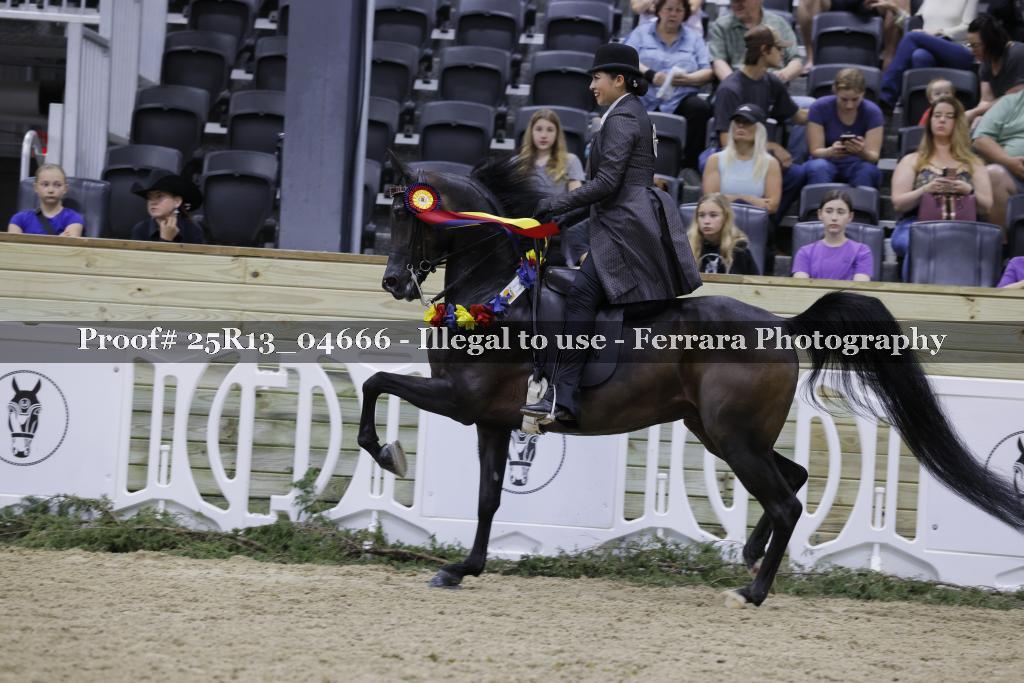 Proof 25R13_04666