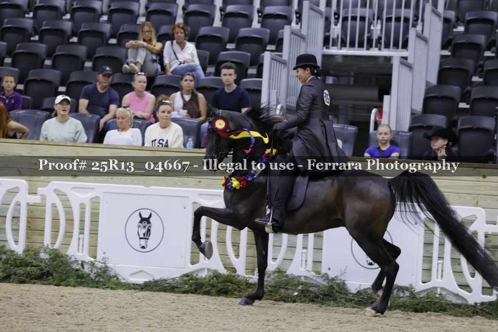Proof 25R13_04667