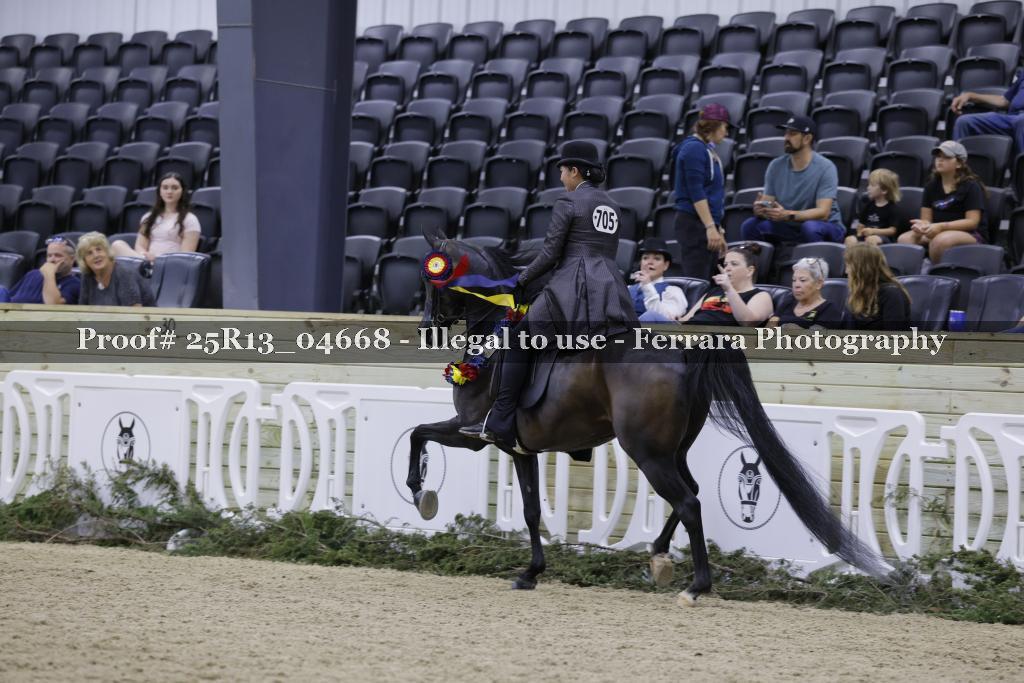 Proof 25R13_04668