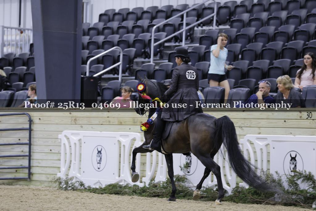 Proof 25R13_04669