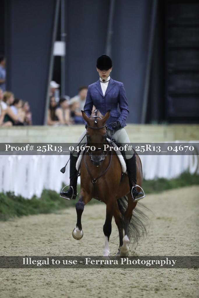 Proof 25R13_04670