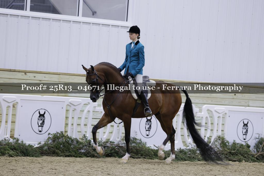 Proof 25R13_04671
