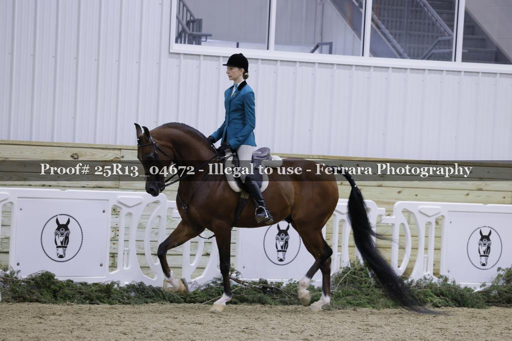 Proof 25R13_04672