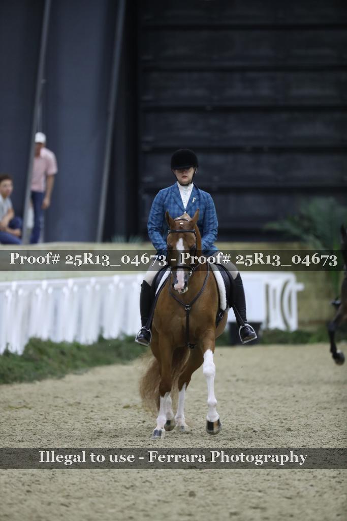 Proof 25R13_04673
