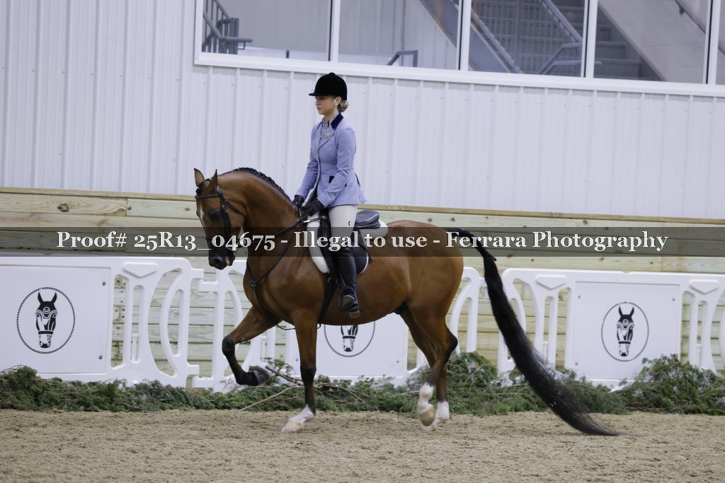 Proof 25R13_04675