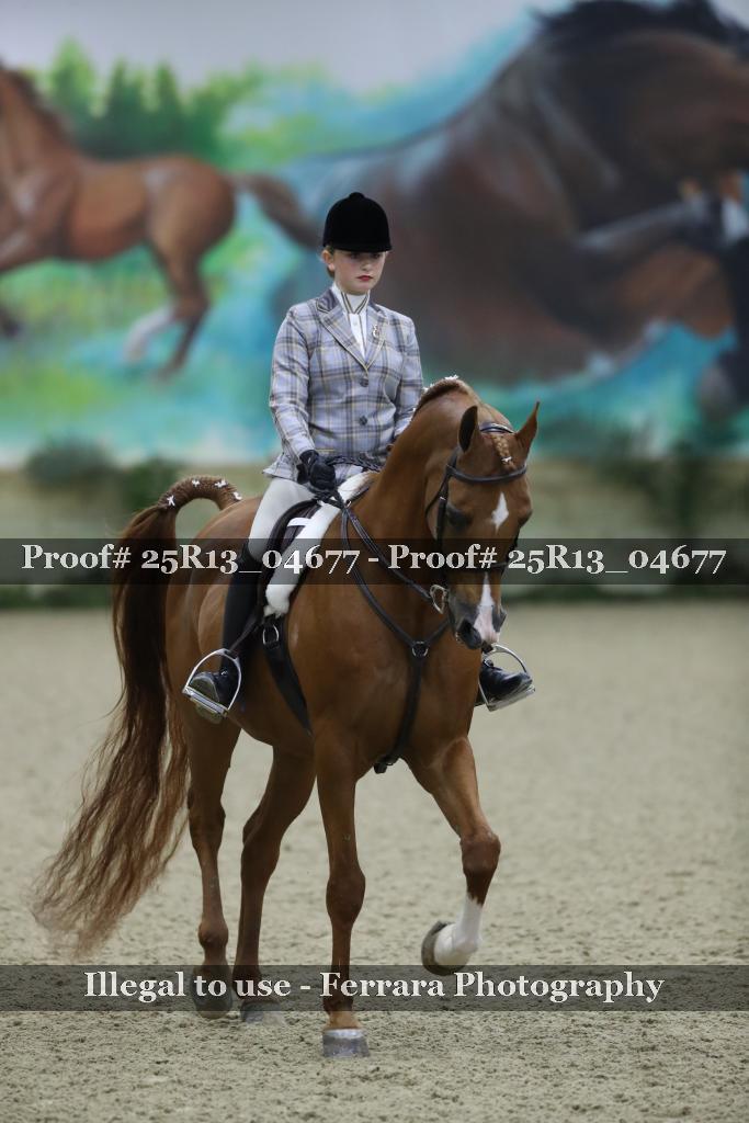 Proof 25R13_04677