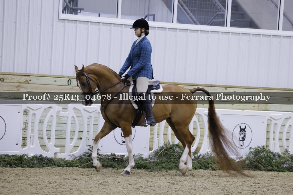 Proof 25R13_04678