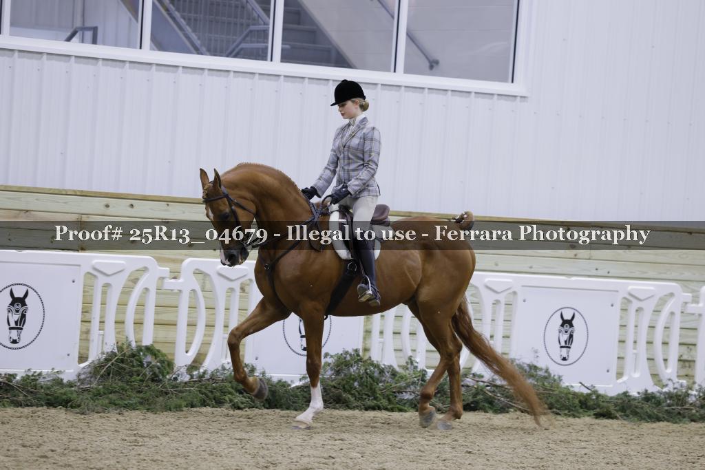 Proof 25R13_04679
