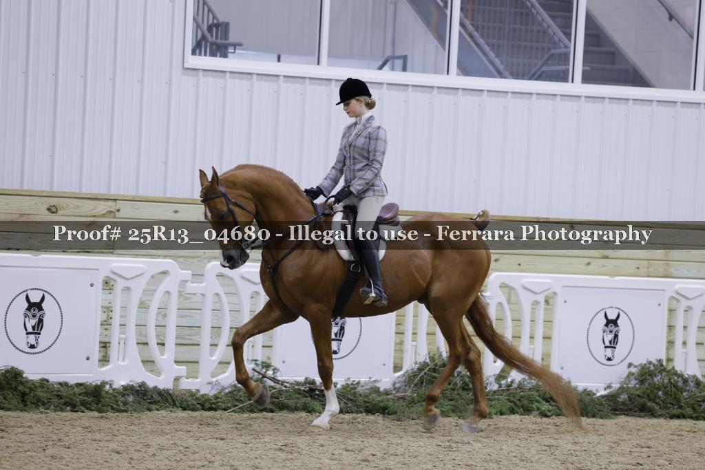 Proof 25R13_04680
