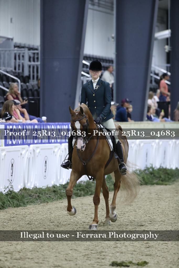 Proof 25R13_04683