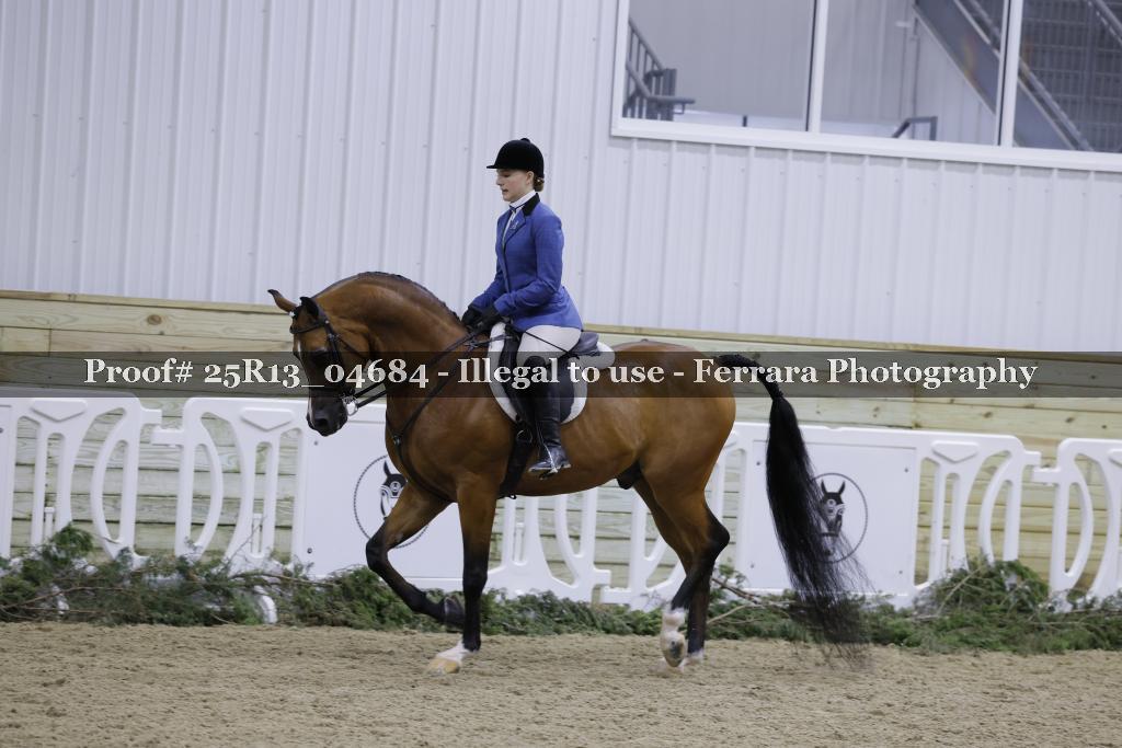 Proof 25R13_04684