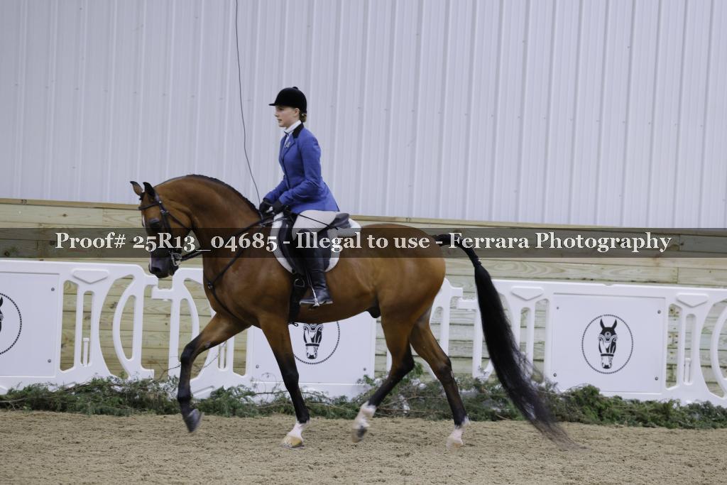 Proof 25R13_04685