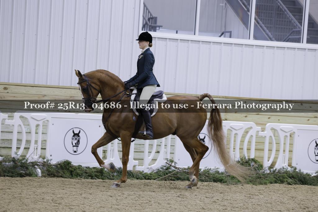 Proof 25R13_04686