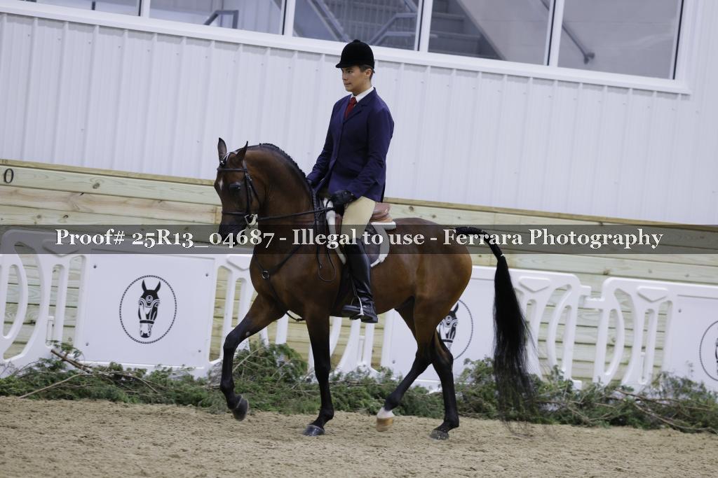 Proof 25R13_04687