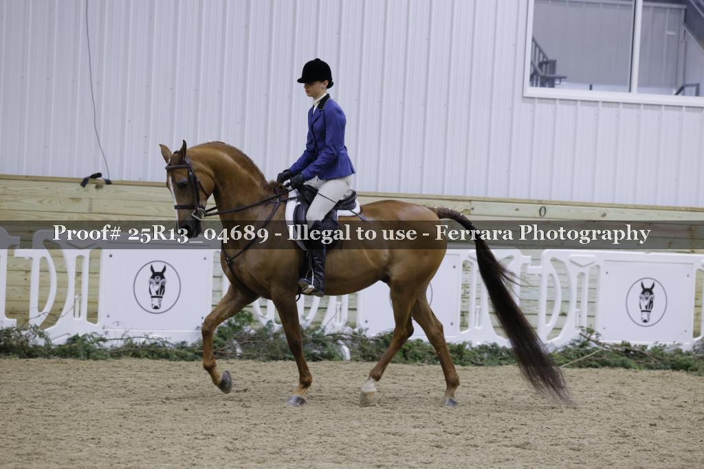 Proof 25R13_04689