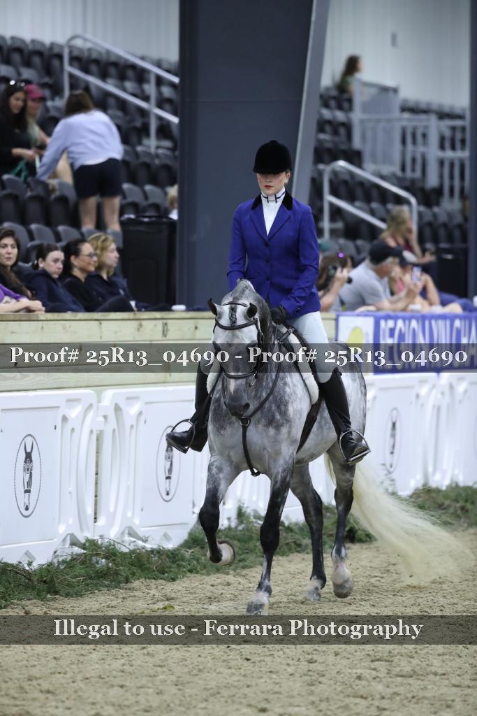 Proof 25R13_04690