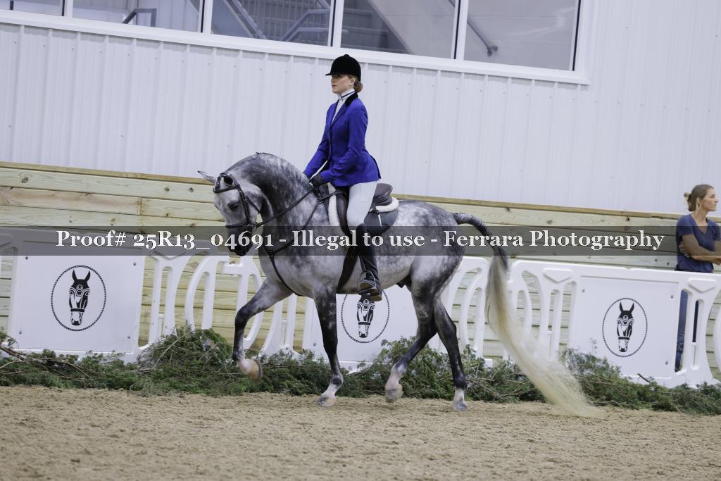 Proof 25R13_04691