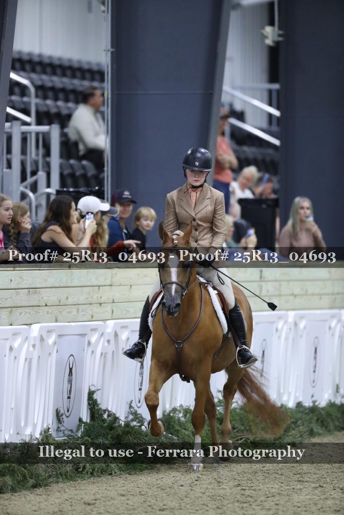 Proof 25R13_04693