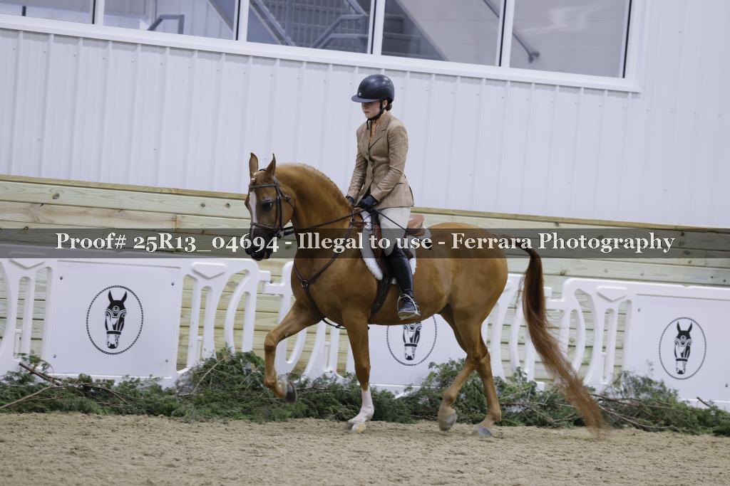 Proof 25R13_04694