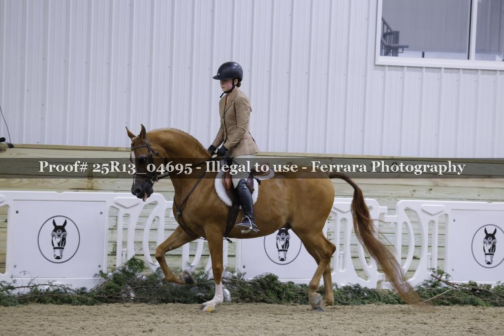 Proof 25R13_04695