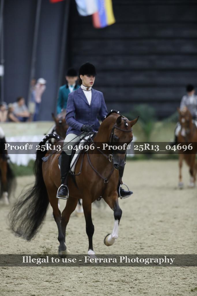 Proof 25R13_04696