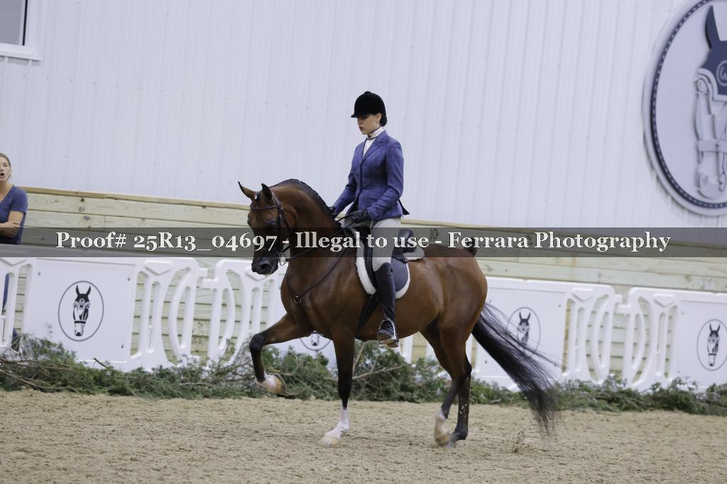 Proof 25R13_04697
