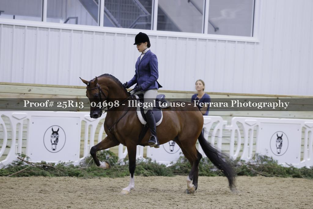 Proof 25R13_04698