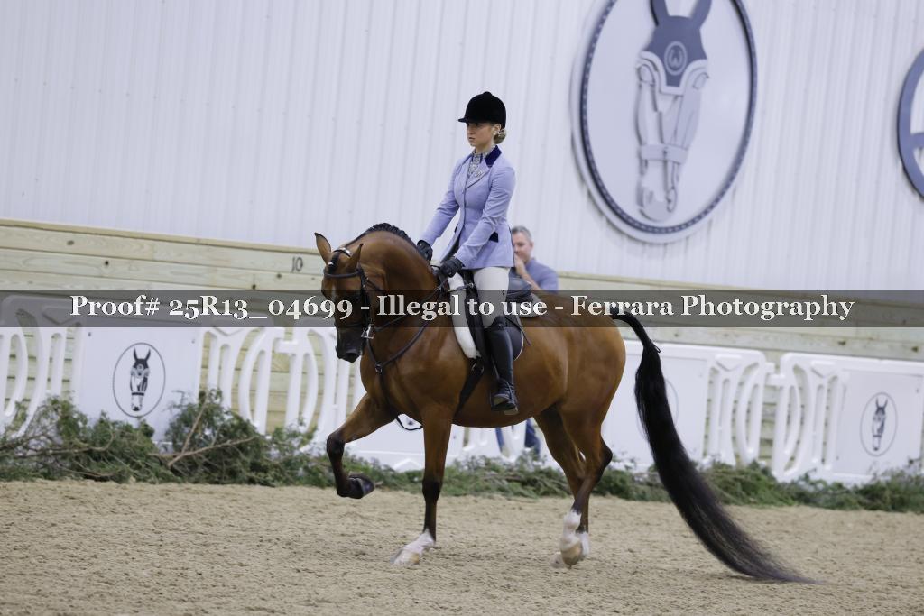 Proof 25R13_04699