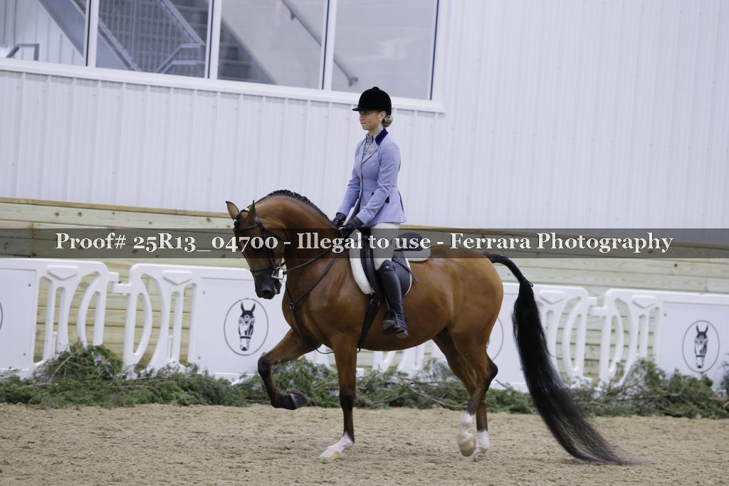 Proof 25R13_04700