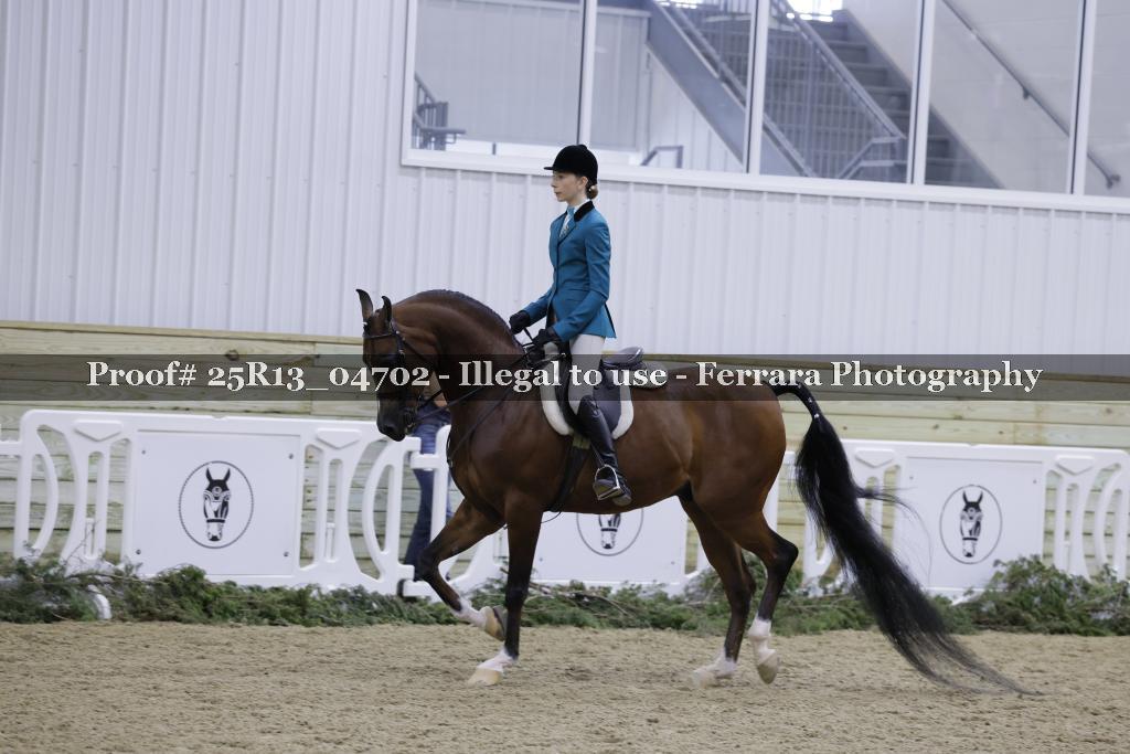 Proof 25R13_04702