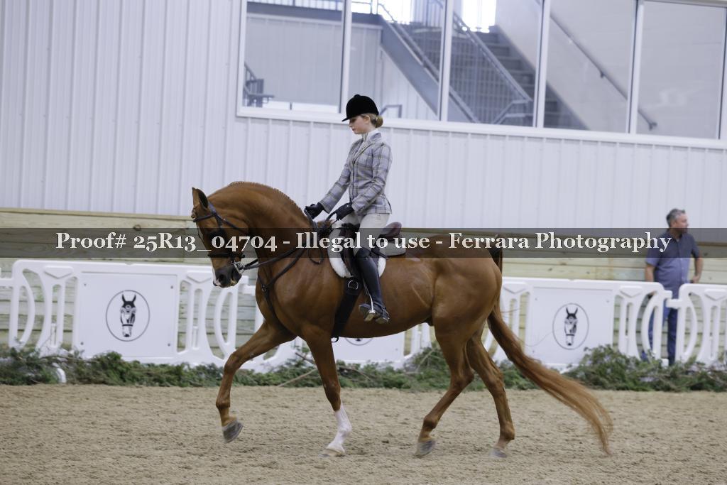 Proof 25R13_04704