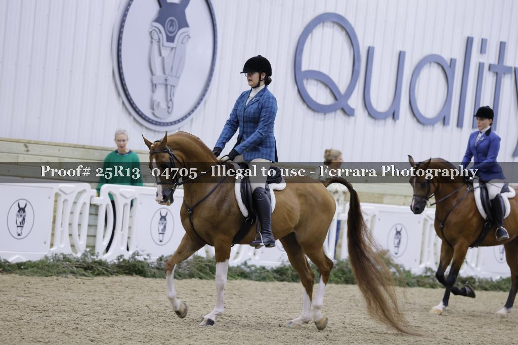 Proof 25R13_04705