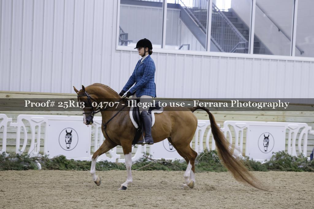 Proof 25R13_04707