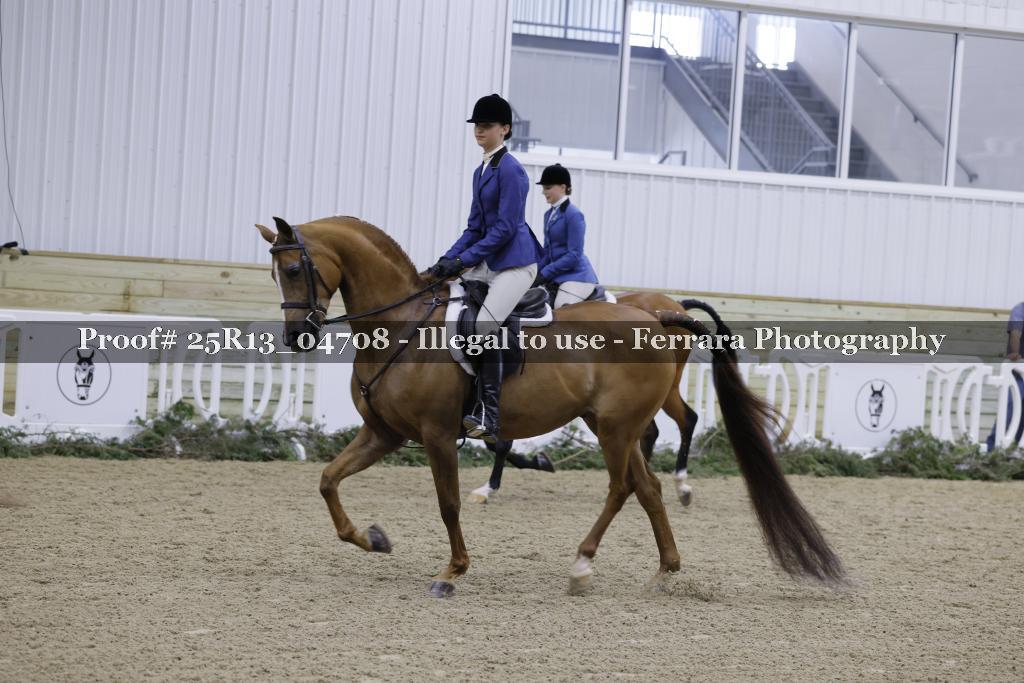 Proof 25R13_04708