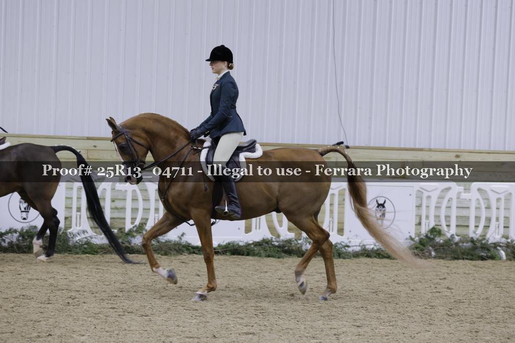 Proof 25R13_04711