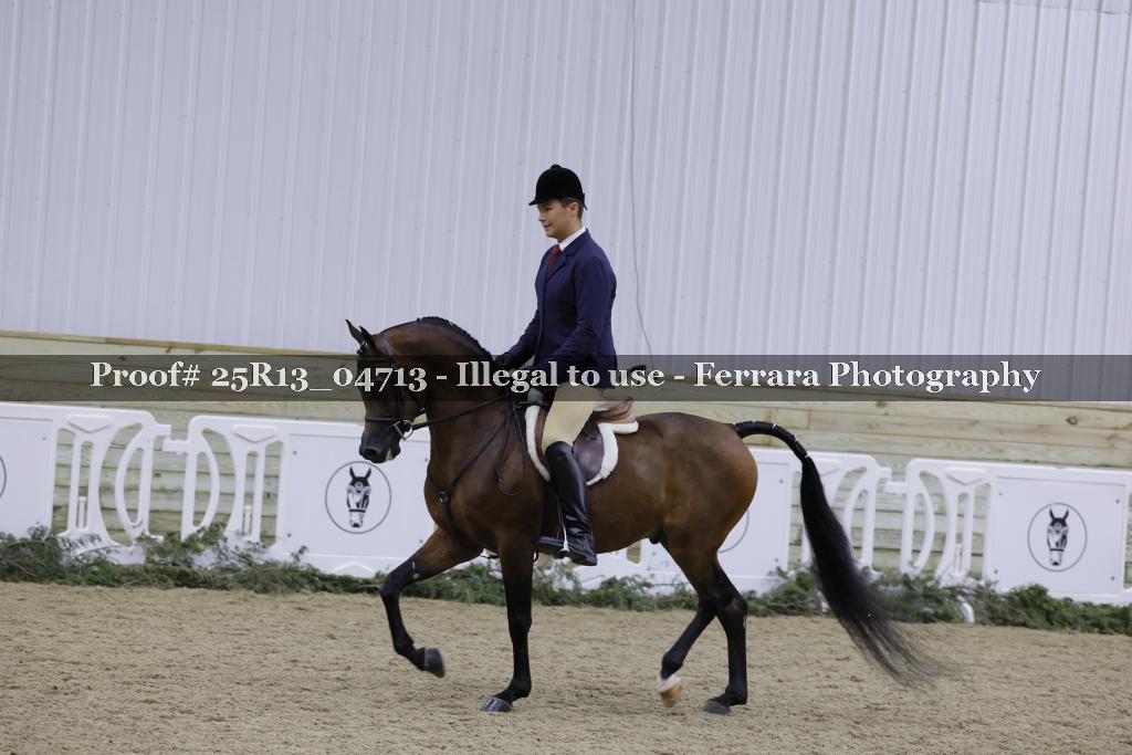 Proof 25R13_04713